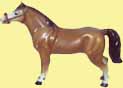 Pferd